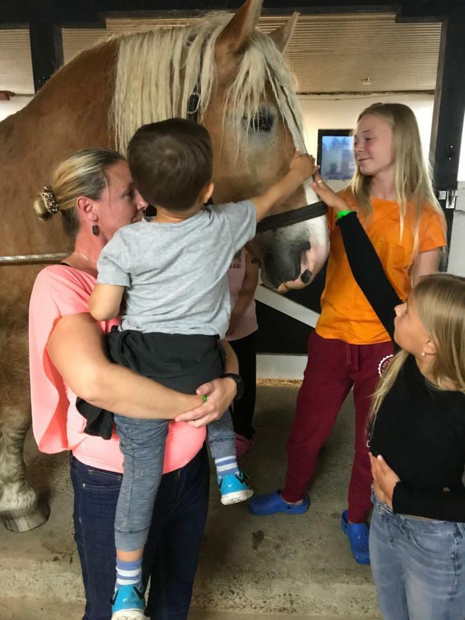 ארברו Vallby Farm Camp מראה חיצוני תמונה